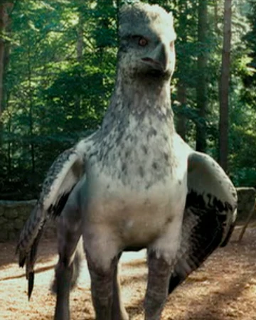 Buckbeak