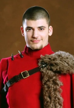 Viktor Krum